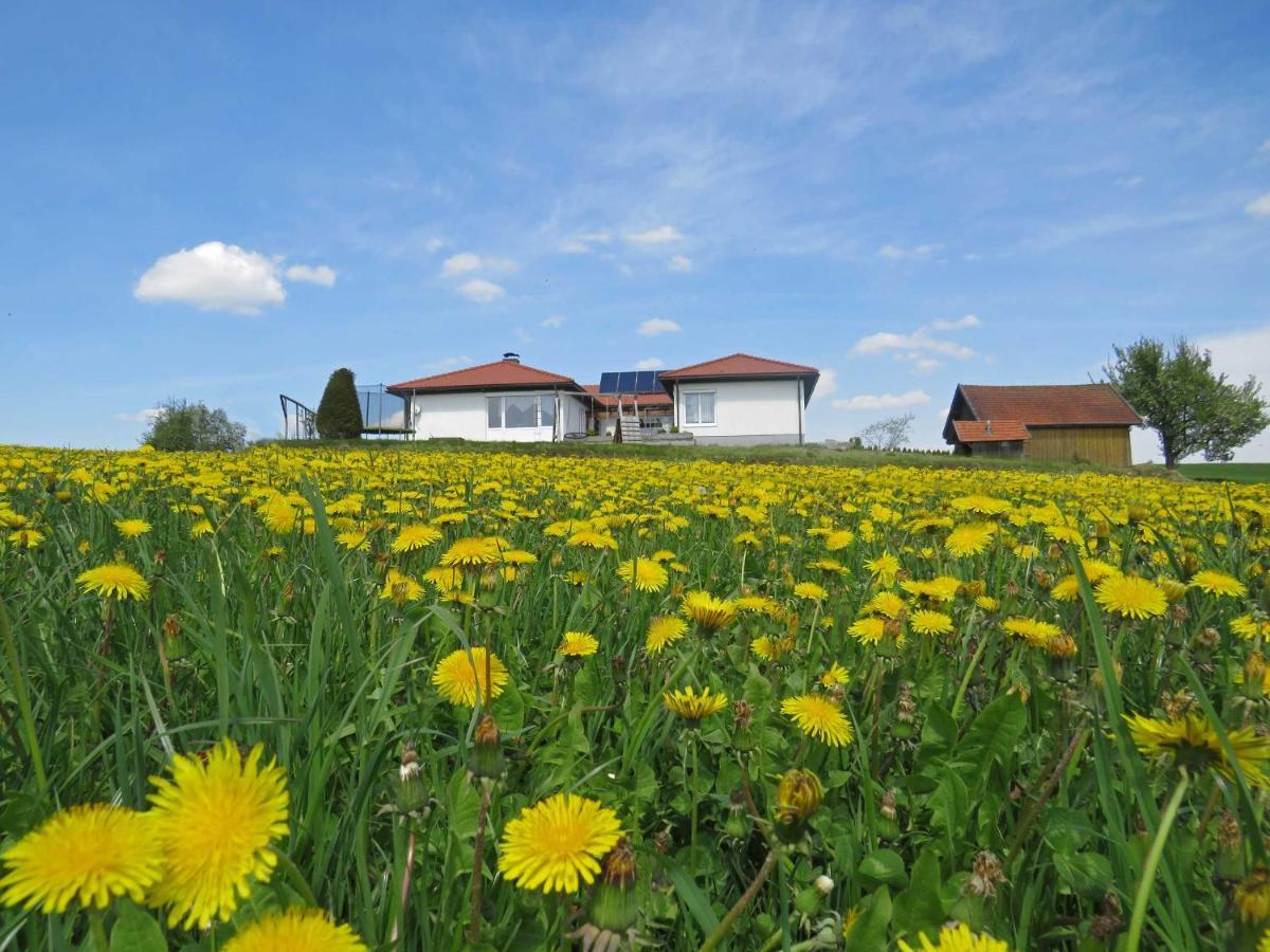Traumferienhaus Xxl Ortner Wetzendorf Экстерьер фото